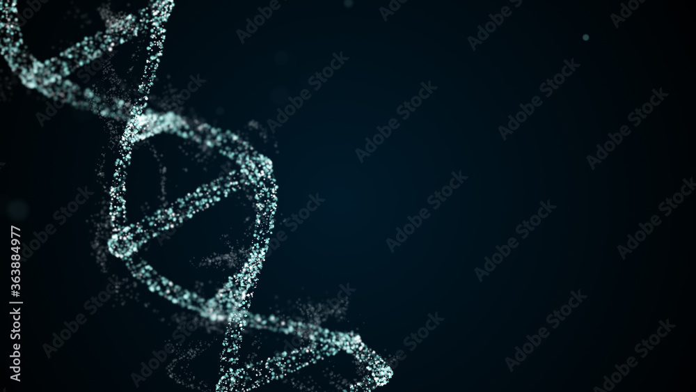 DNA strand molecule consisiting of four pieces adenine, thymine, guanine and cytosine DNA strand molecule consisiting of four pieces adenine, thymine, guanine and cytosine
