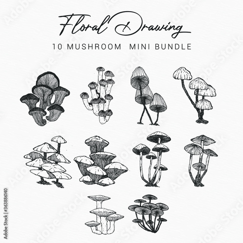 10 bundle design mushroom vector