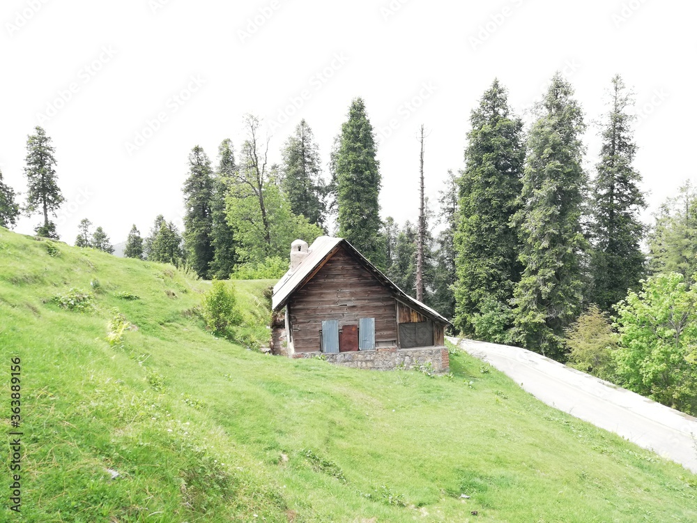 Hut on the hillside