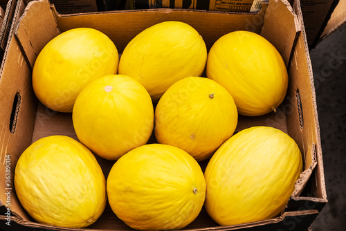 Photography Box of yellow melons in Dublin, Ireland