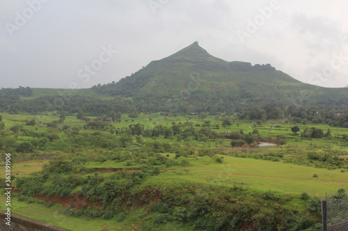 Lushgreen rural countryside of Maharashtra, India in the monsoon