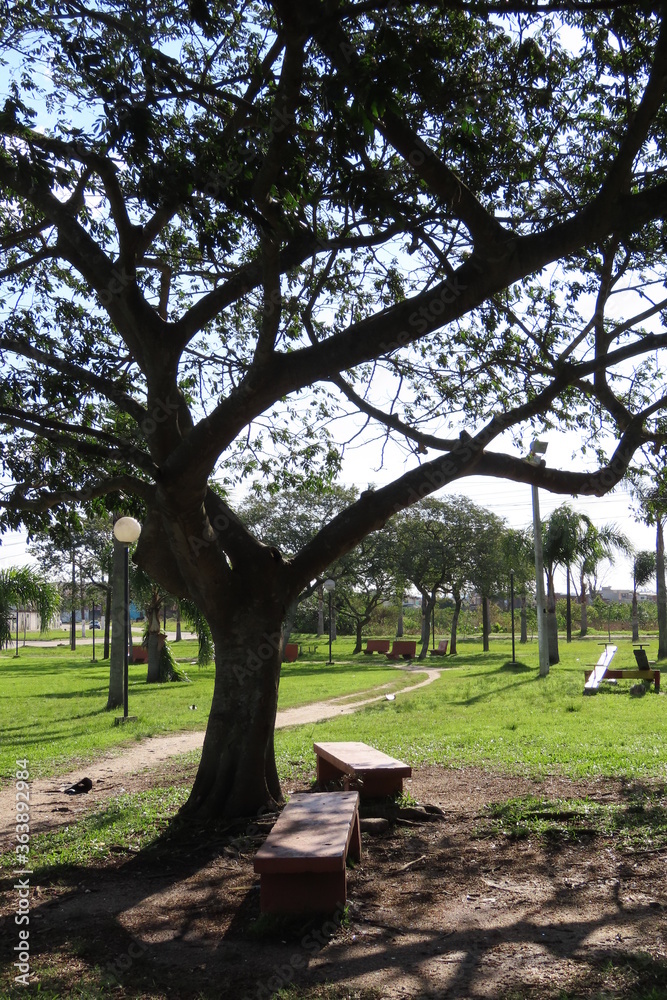bench in the park bench in the park
