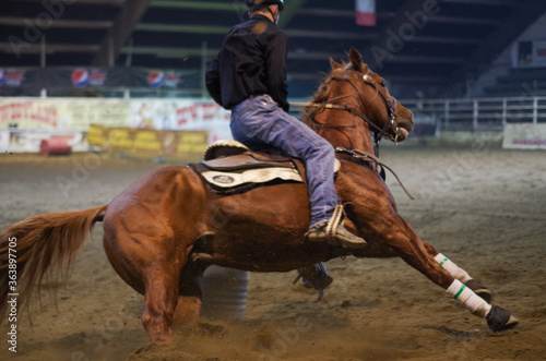 Cowboy a cavallo marrone nel ranch, gara di barili