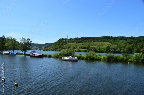 Moseltal bei Brodenbach photo