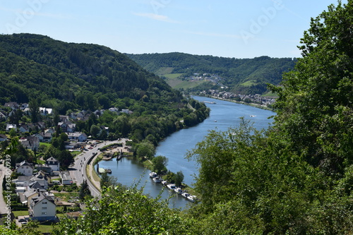 Moseltal bei Brodenbach photo