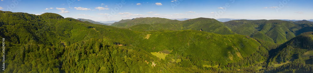 Panoramic view of forested hills and a glade on a bright day. Slovakian hills and valleys covered in forest viewed from the air. Beautiful scenery captured from bird's eye view in summer nature.