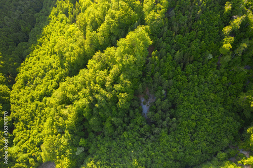 Scenic top down view of a rocky hillside covered in lush forest. Aerial capture of a heavily forested hill in evening light in Slovakia.