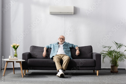 Smiling elderly man looking at camera and holding remote controller of air conditioner at home