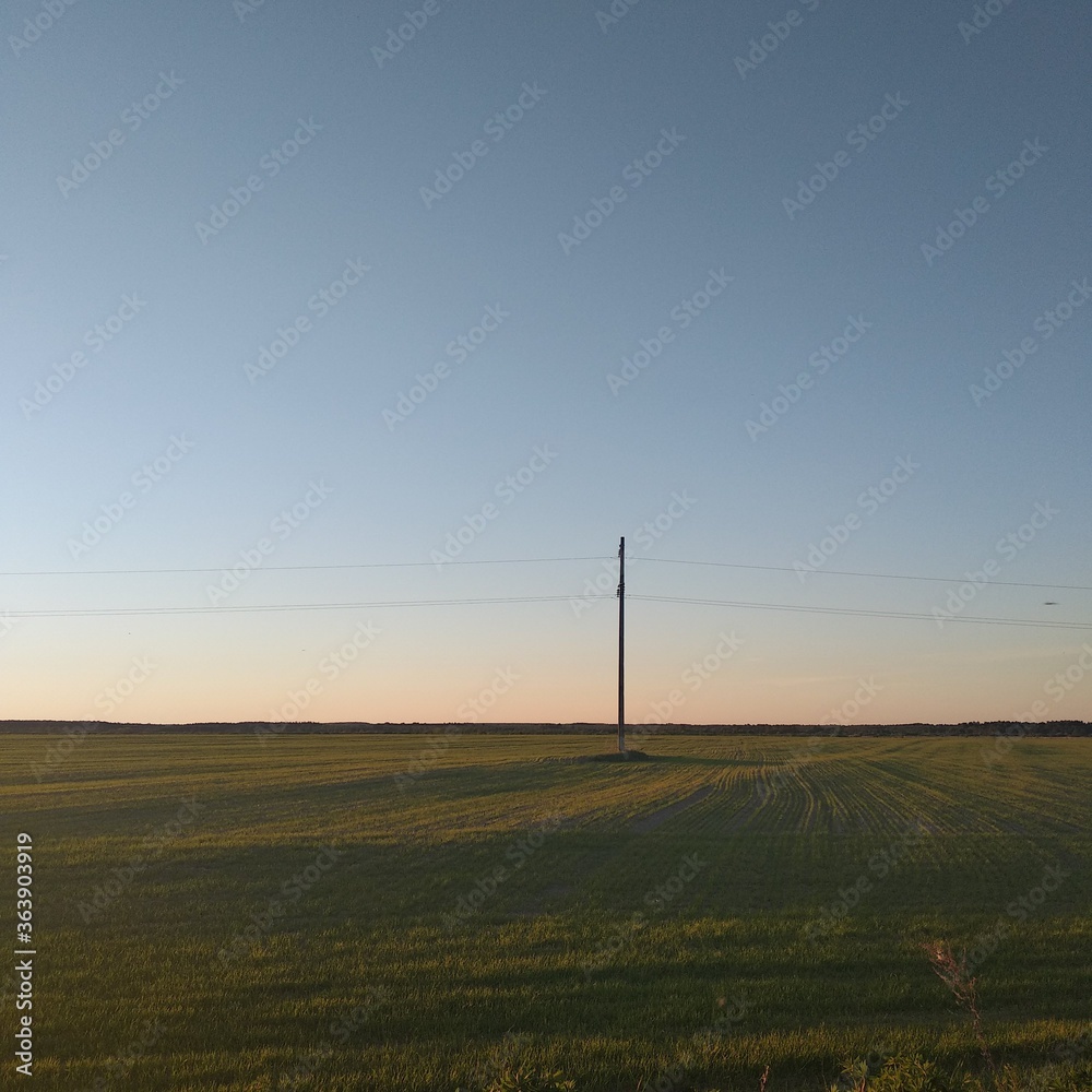 power lines in the field at sunset