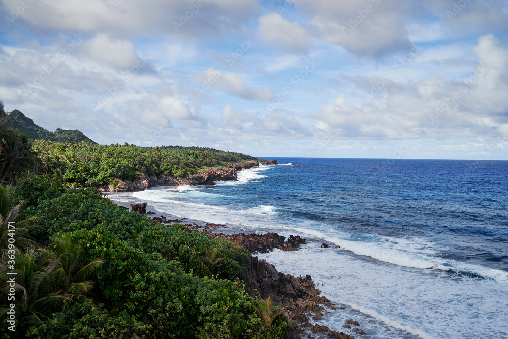 Fototapeta premium Tropical landscape. Seashore, big waves.