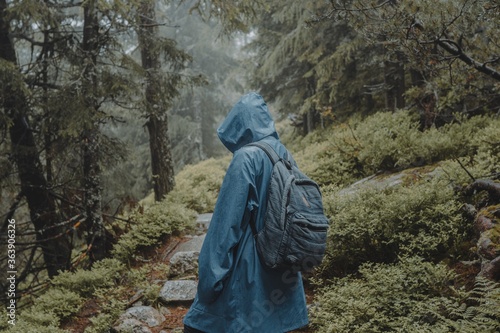 Shallow focus shot of a traveler with blue raincoat walking in a wet forest