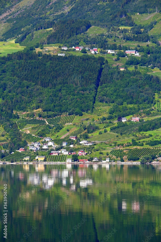 Fototapeta premium Aga, Norway