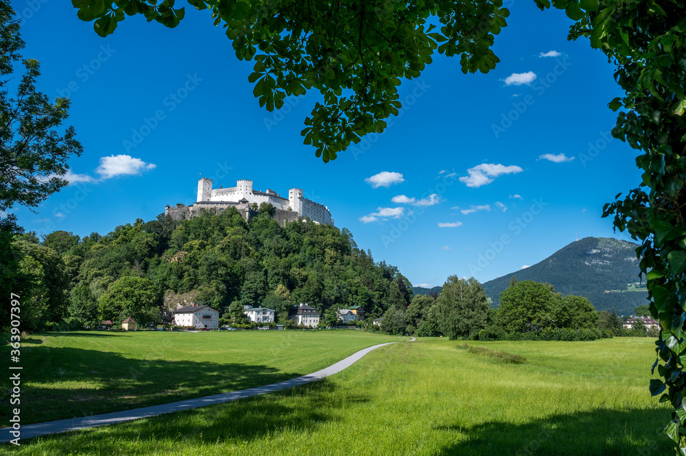 Festung Hohensalzburg vom Krauthügel aus im Sommer bei Sonnenschein