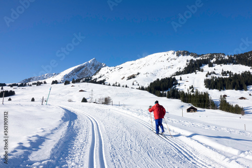 Ski de fond dans les Alpes