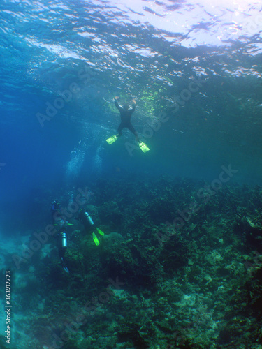 free diving underwater snrokel water blue caribbean sea Venezuela