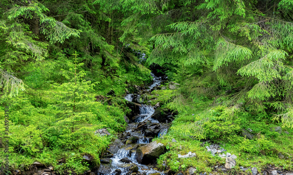 Beautiful waterfall in the rocky mountains. Carpathians. Beautiful waterfall in the rocky mountains. Carpathians.