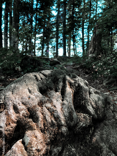 large stone in the forest on the background of rocks and trees