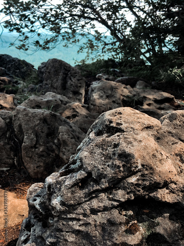 large stone in the forest on the background of rocks