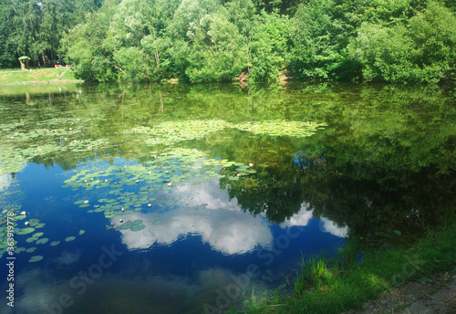 White clouds reflecting at the summer pond background