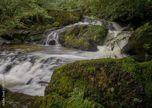 waterfall in the forest