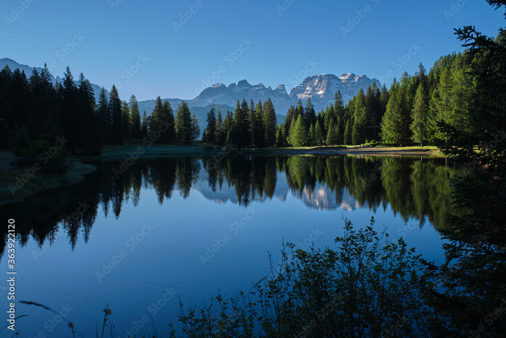 Morning over a lake in the Alps. Mountain lake surrounded by Christmas trees and the Alps. Blue sky reflected in the water of trees and mountains.
