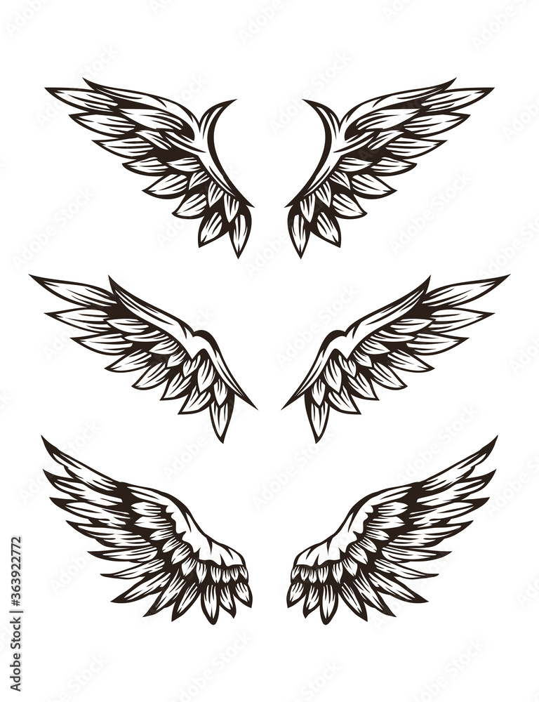 Obraz premium Set of wing illustration