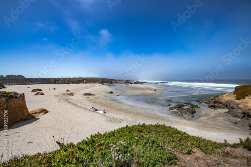 Pudding Creek beach in Fort Bragg, California photo