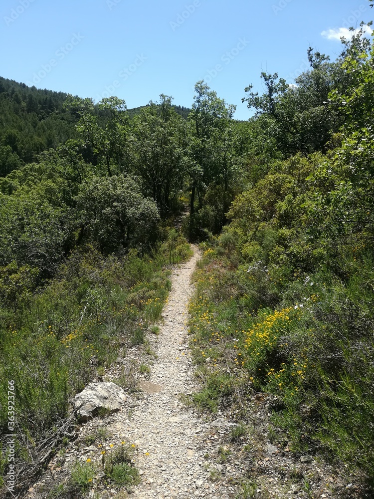path in the mountains path in the mountains