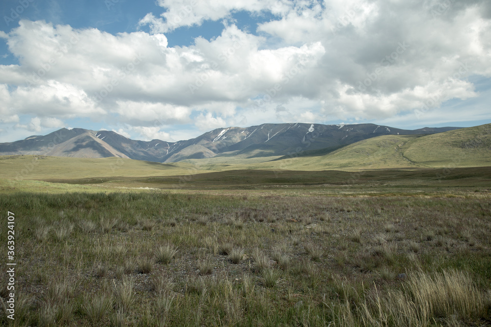 Amazing Altay. Plateau Ukok, view of a steppe at the plateau Ukok. Russian adventures. Mountain hiking in the Altai republic. Active holiday with family and friends. 