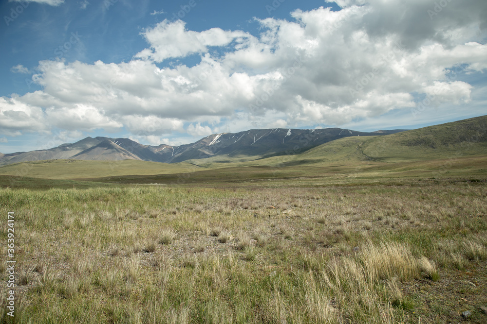 Fototapeta premium Amazing Altay. Plateau Ukok, view of a steppe at the plateau Ukok. Russian adventures. Mountain hiking in the Altai republic. Active holiday with family and friends. 