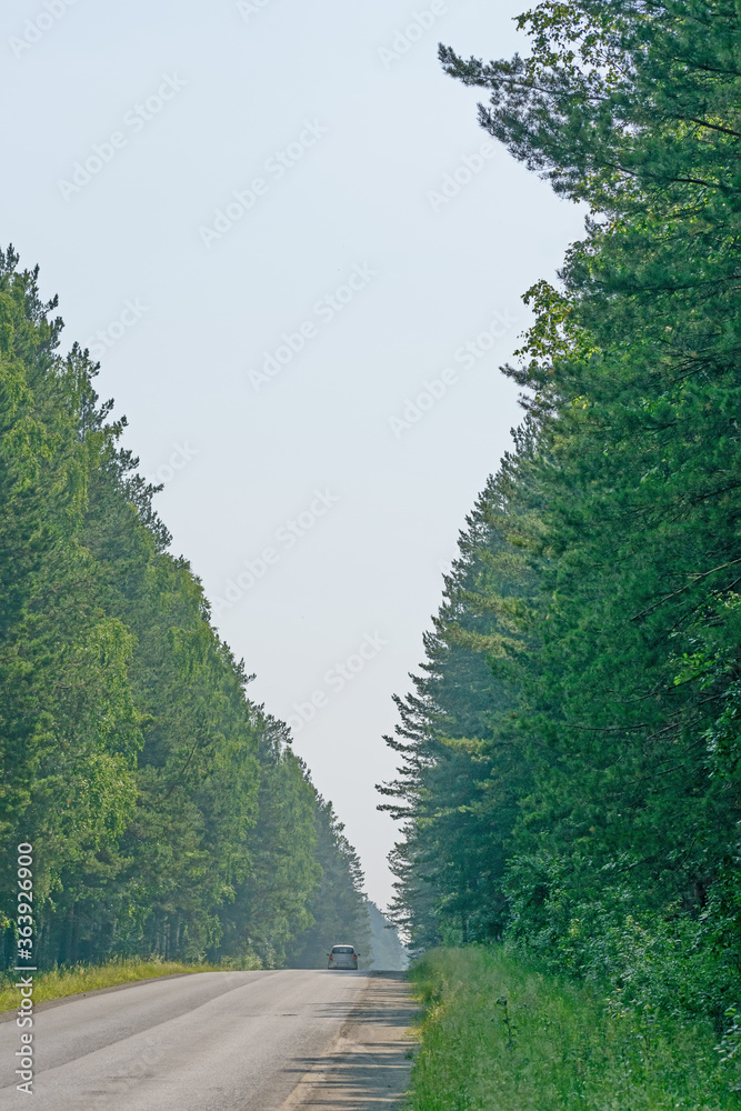 Summer view of the road, on both sides of which there is a dense forest