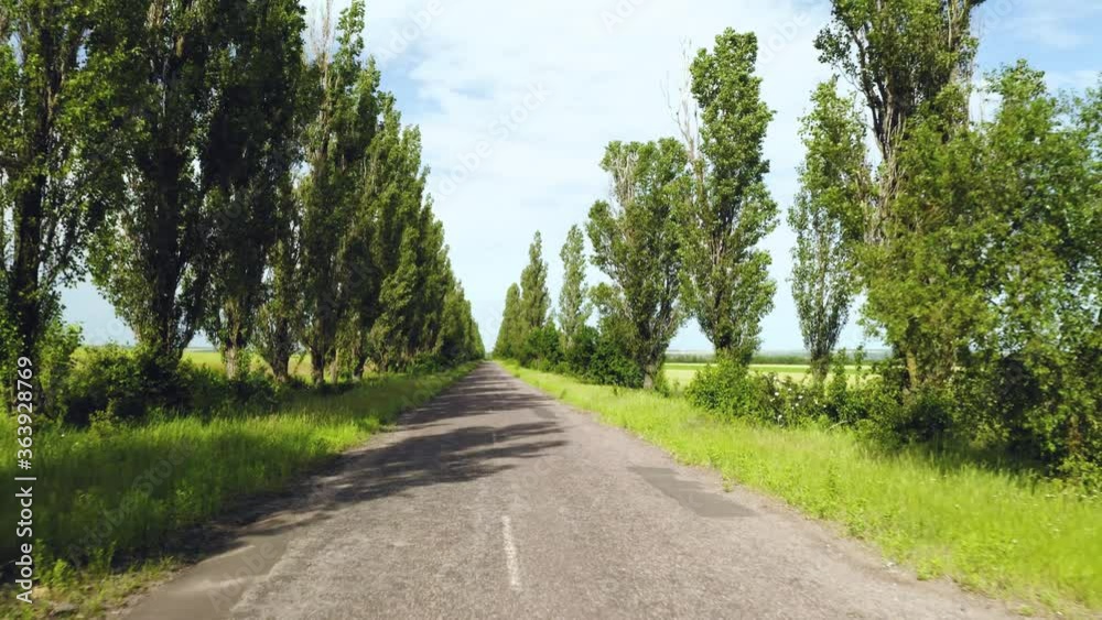 Moving along country road on sunny day Moving along country road on sunny day