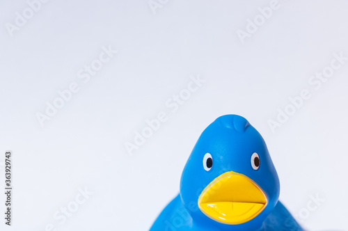 Obraz na plátně Plastic blue rubber duck toy against white background