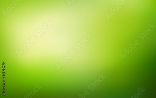 Abstract Nature blurred background. Green gradient backdrop with sunlight. Ecology concept for your graphic design, banner or poster 