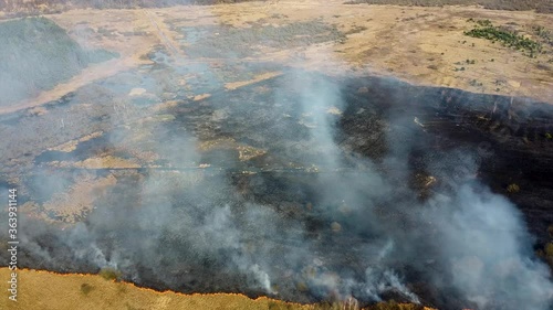 Dry grass burning in the field. Aerial view of smoking wild fire. Large smoke clouds and fire spread. Forest and tropical jungle deforestation. Grassland deforestation and climate change