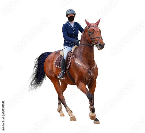 girl jockey riding a red horse competition jumps u turn in front isolated on a white background