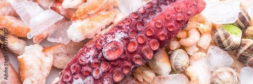 assortment of frozen seafood on ice cubes, shrimps, Babylonia areolata shellfish snails, langoustines, rich in iodine, antioxidants and vitamin, close up
