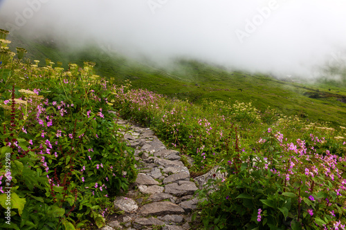 Floral Meadows and landscape inside the Valley of Flowers National Park in NandaDevi Biosphere Reserve of Uttarakhand state, India