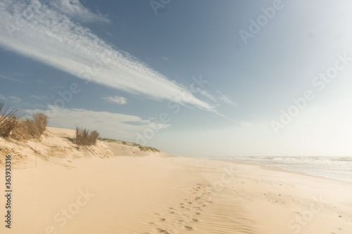 sand dunes and sky on the beach