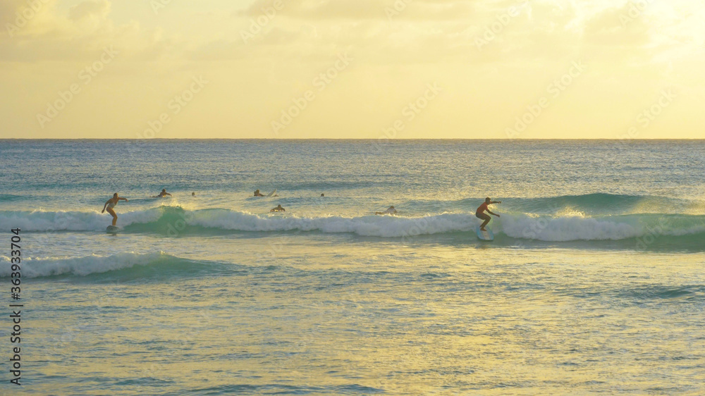 A group of surfers ride the last waves of the day in Barbados.