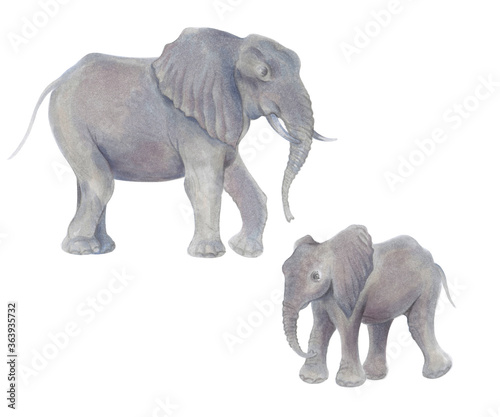 Watercolor marker cute realistic illustration African elephant with baby