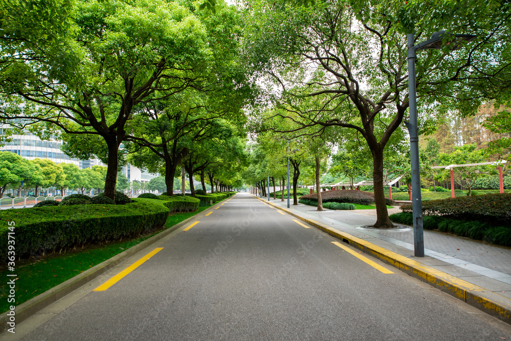 The city's tree-lined asphalt roads. The city's tree-lined asphalt roads.