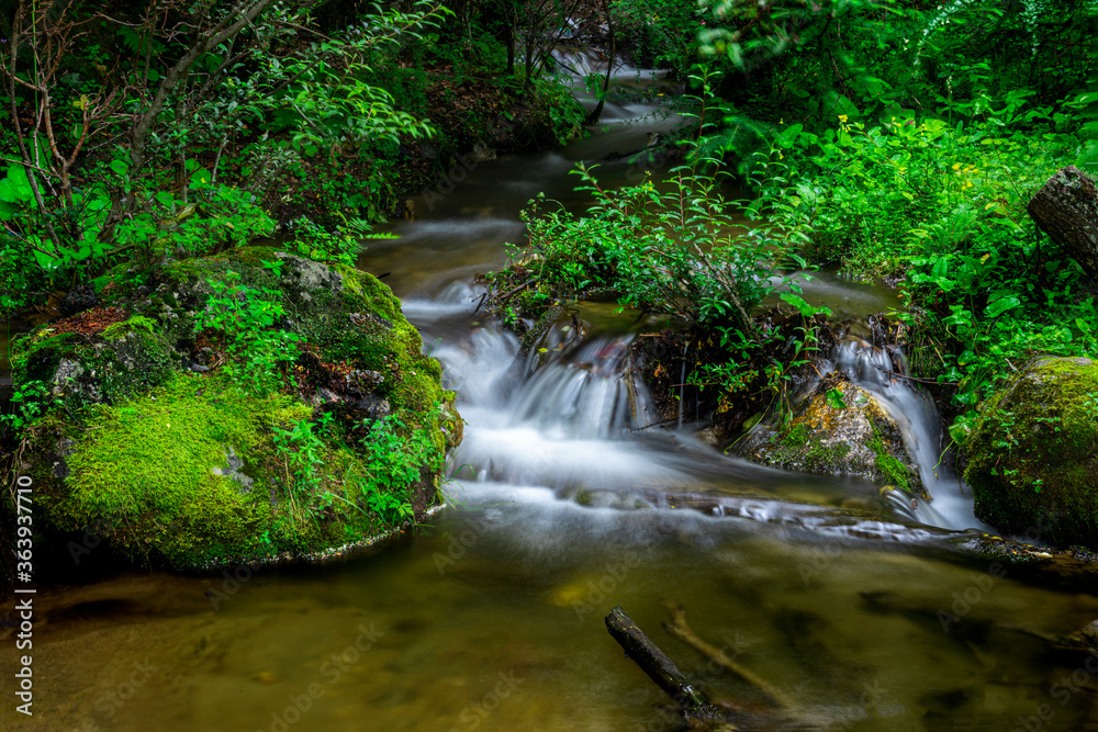 The slow flowing mountain stream in the daytime. The slow flowing mountain stream in the daytime.