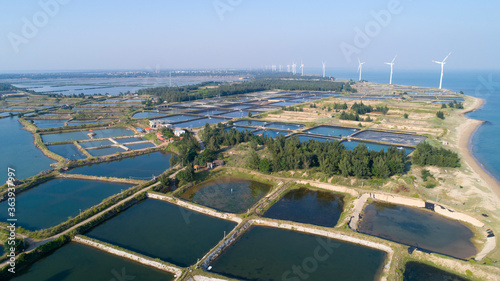 Seaside wind power generation and coastal salt and farming farms.