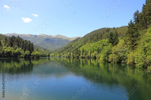 lago estanque pantano rio país vasco 4M0A1425-as20 photo