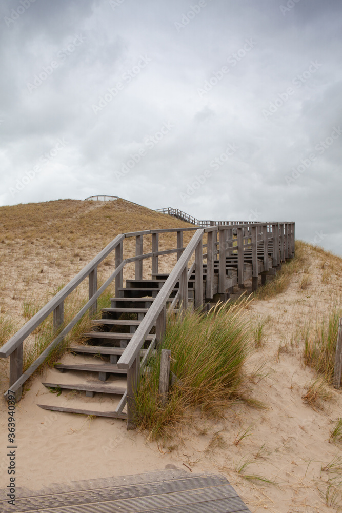 The wooden stairs on the 26 m high panorama dune, Petten aan Zee.