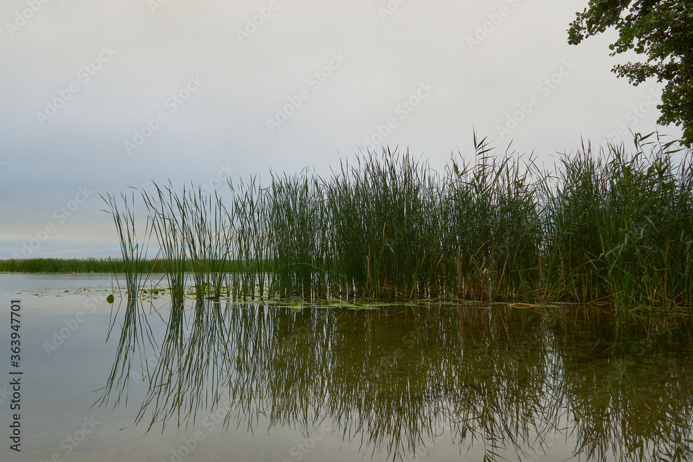 Obraz premium View of the Voronezh reservoir from the right bank on a summer morning