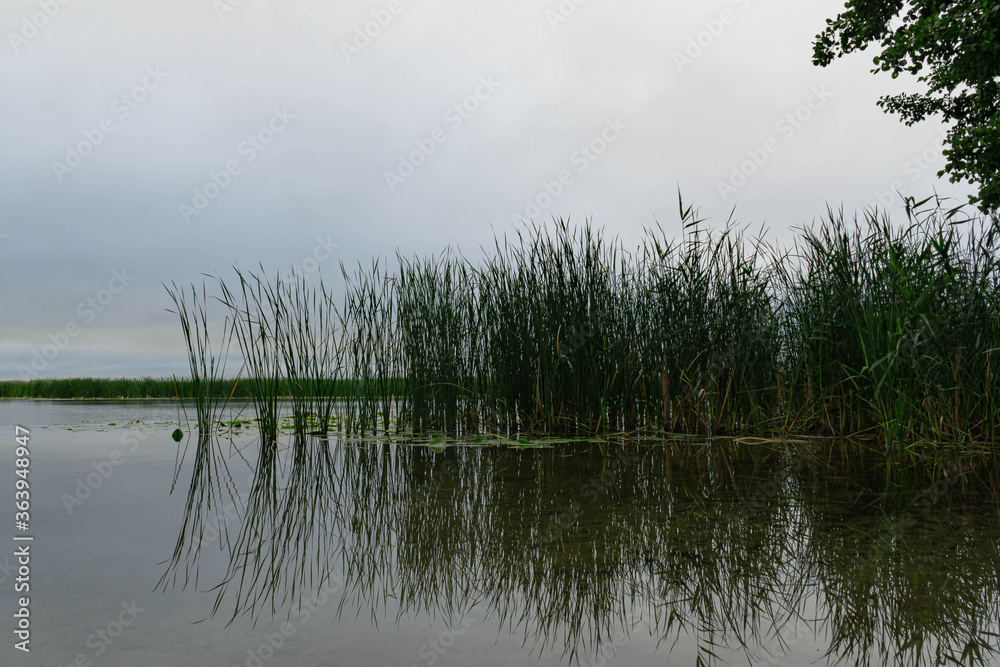 Obraz premium View of the Voronezh reservoir from the right bank on a summer morning