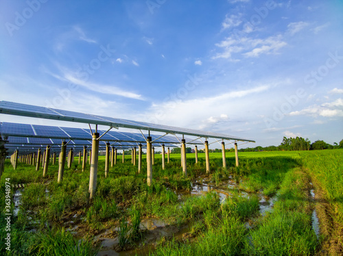 Solar power generation in rice fields under blue skies and white clouds