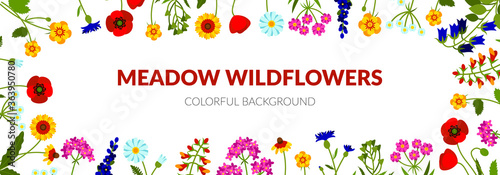 Horizontal summer banner with wildflowers, including bellflower, yarrow, Echinacea, poppy, snapdragon, lavender, lady's purse, cornflower